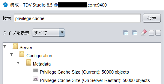 privilege_cache_setting.png