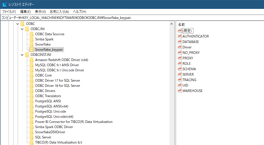 snowflake_spotfire_dataconnect_odbc_dsn2.png