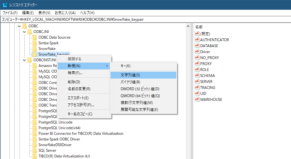 snowflake_spotfire_dataconnect_odbc_dsn3.png