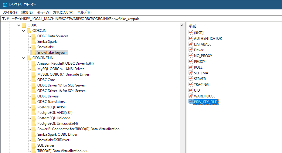 snowflake_spotfire_dataconnect_odbc_dsn4.png