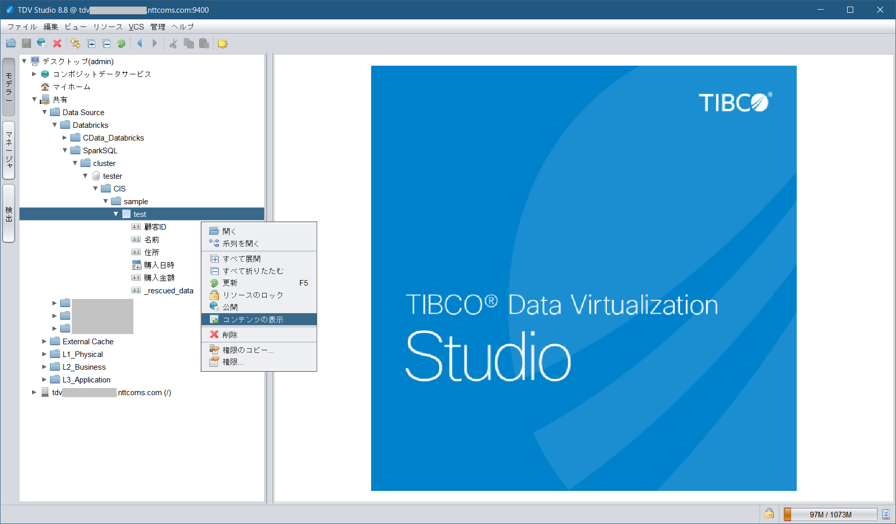 databricks_tdv_sparksql_adapter_cluster_tester_datasource_viewcontents1.png