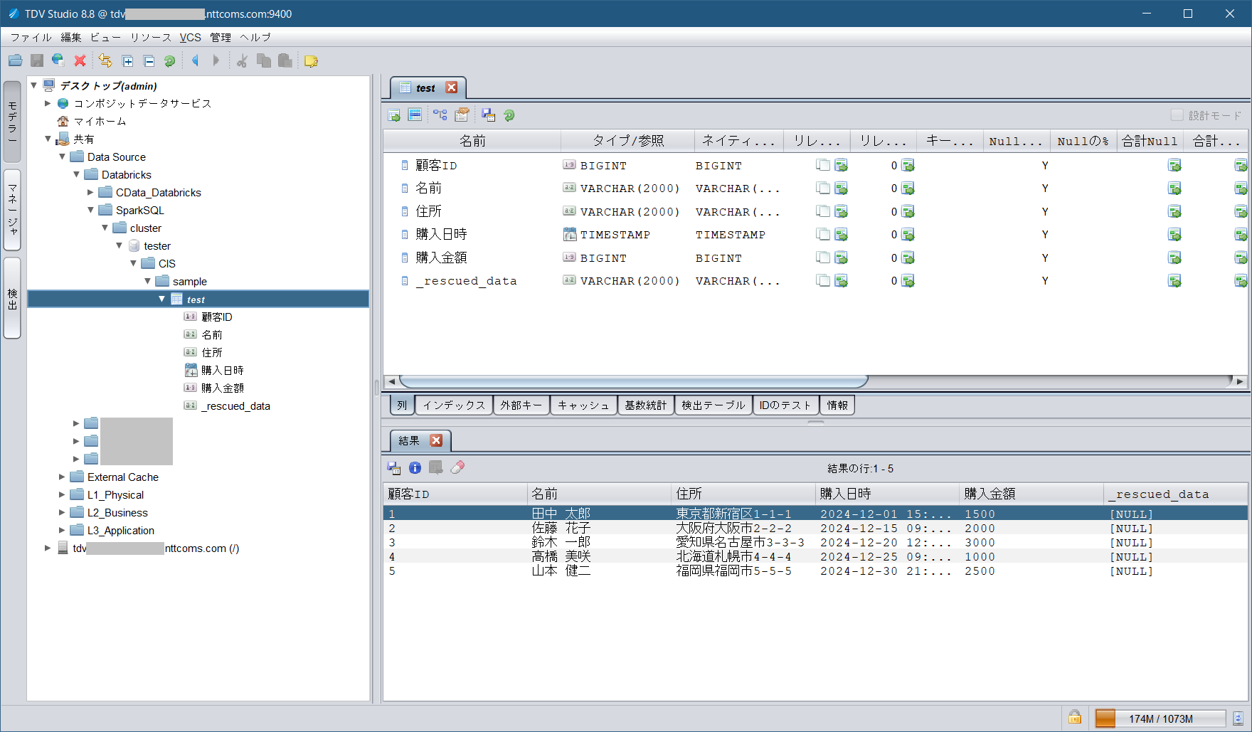 databricks_tdv_sparksql_adapter_cluster_tester_datasource_viewcontents2.png