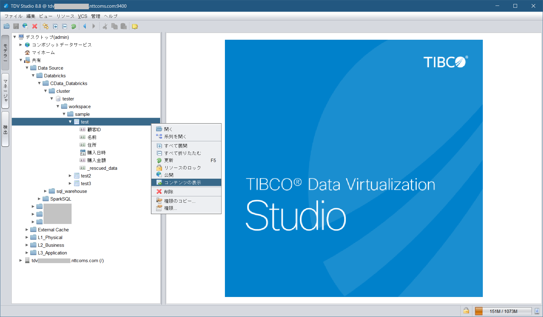 databricks_tdv_cdata_databricks_adapter_cluster_tester_datasource_viewcontents1.png