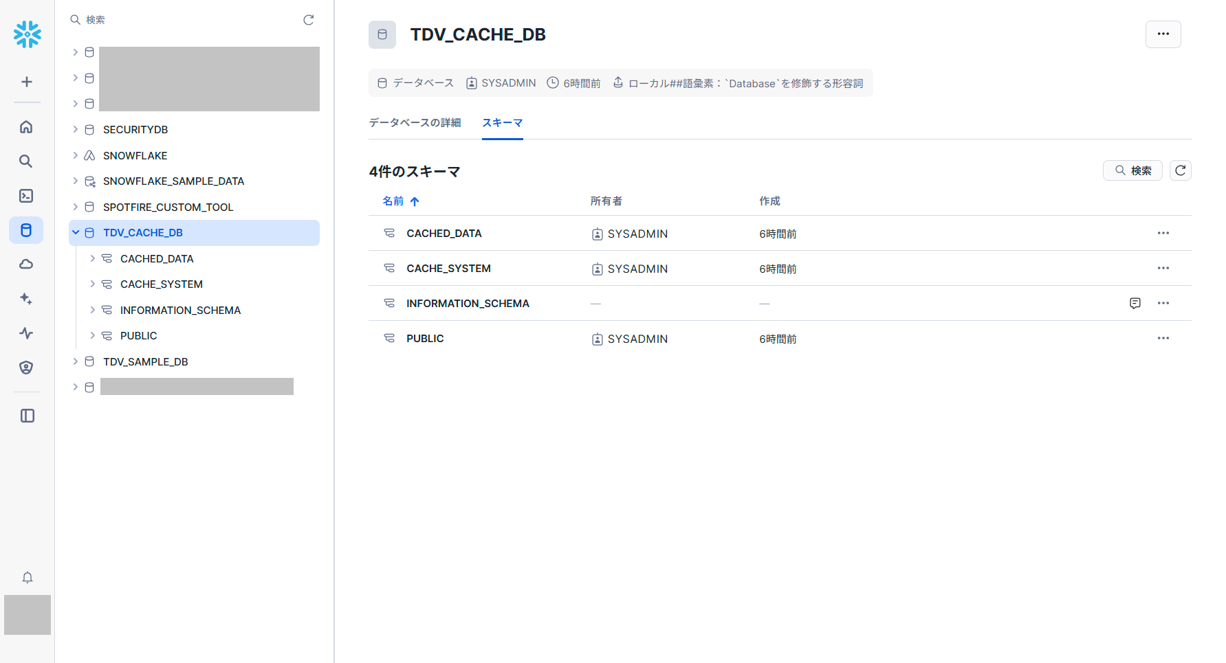 tdv_snowflake_cache_target1.png