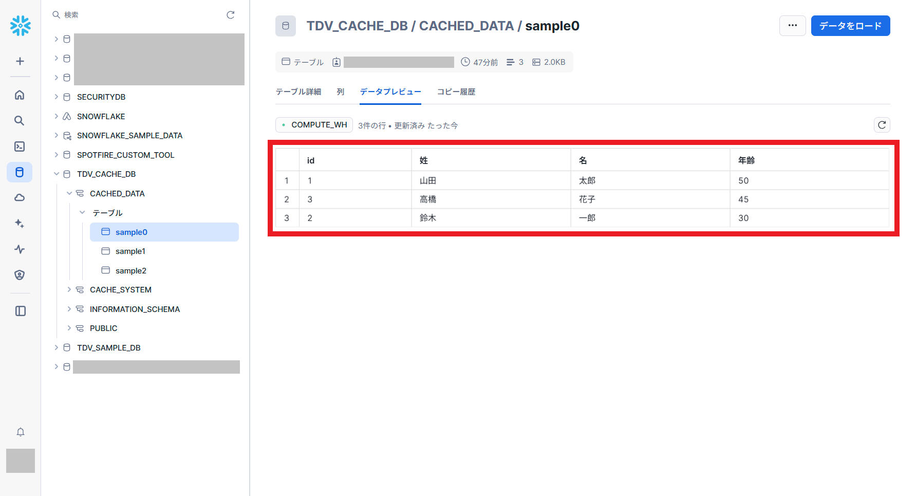 tdv_snowflake_cache_view11.png