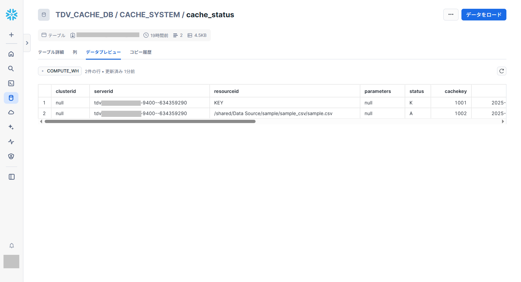 tdv_snowflake_cache_status_snowflake.png