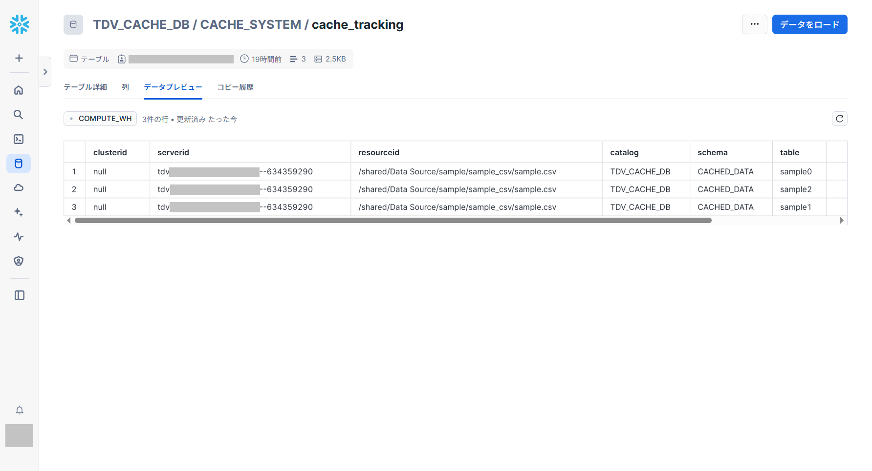 tdv_snowflake_cache_tracking_snowflake.png