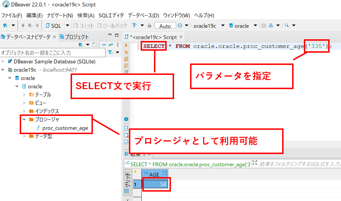 oracle_proc03.png