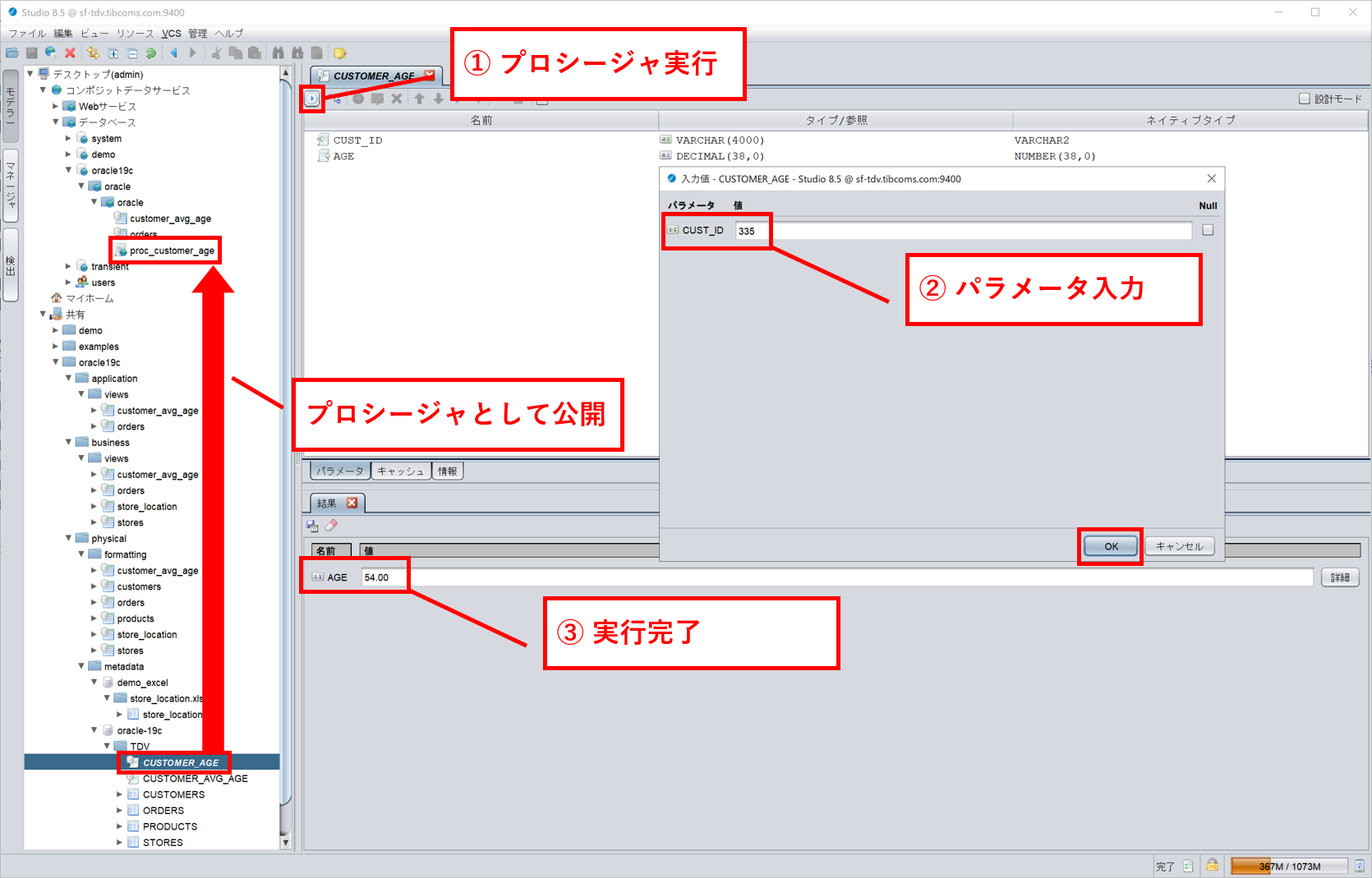 oracle_proc01.png