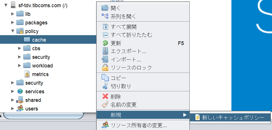 tdv_cache_policy05.png
